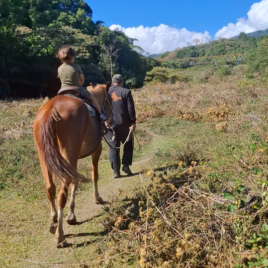TOUR A CABALLO 1 HORA + GRANJA DE CONTACTO