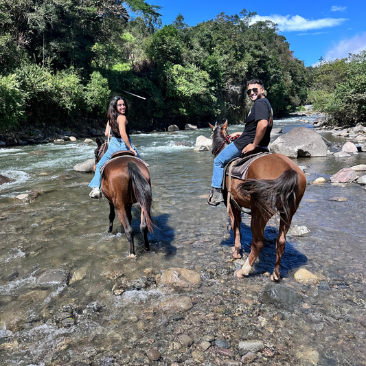 TOUR A CABALLO 1 HORA + GRANJA DE CONTACTO